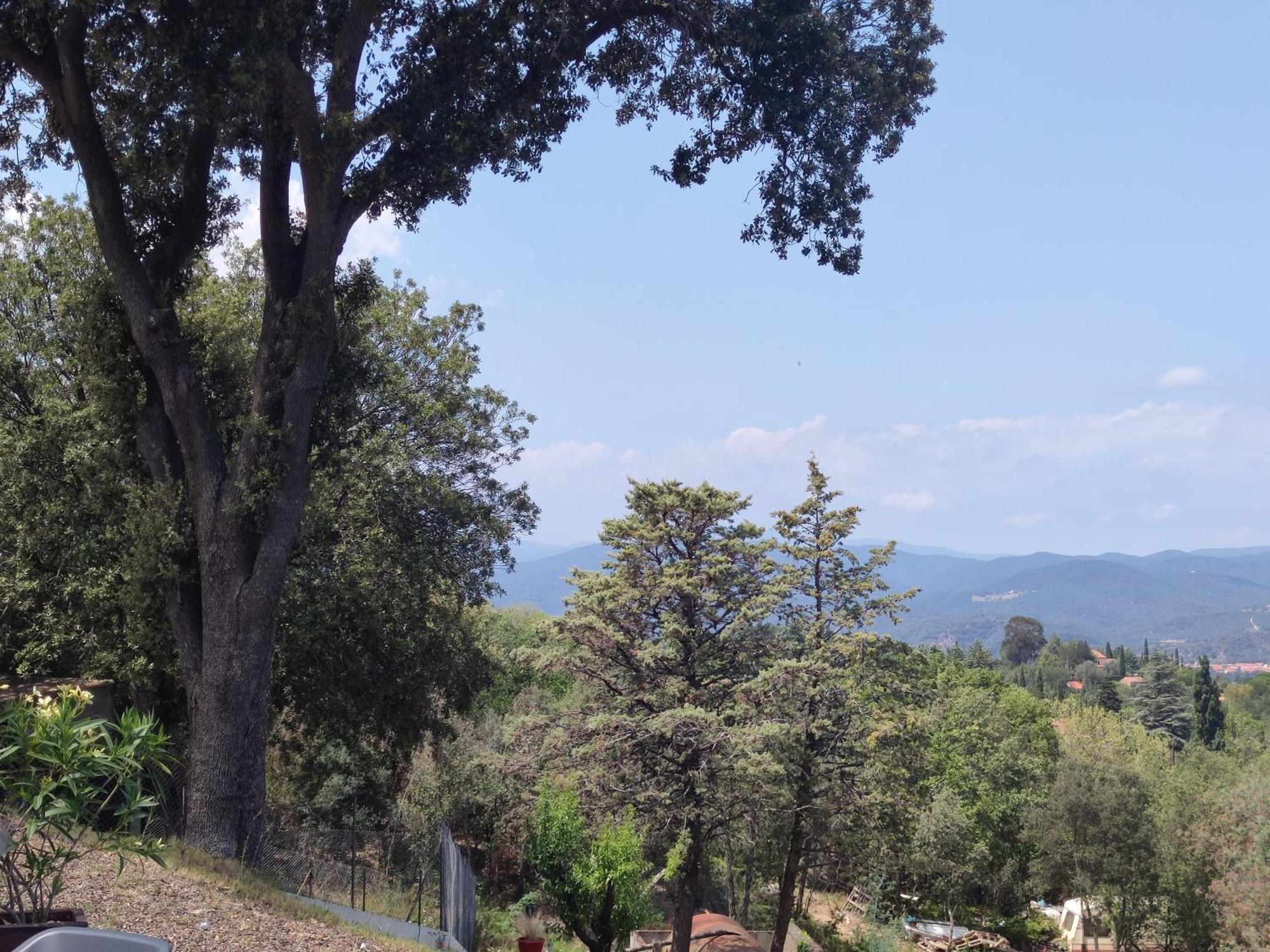 Villa Le Havre De Paix à Céret Extérieur photo